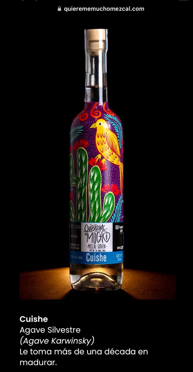 WhatsApp Image 2024-04-26 at 11.37.25 AM (3)