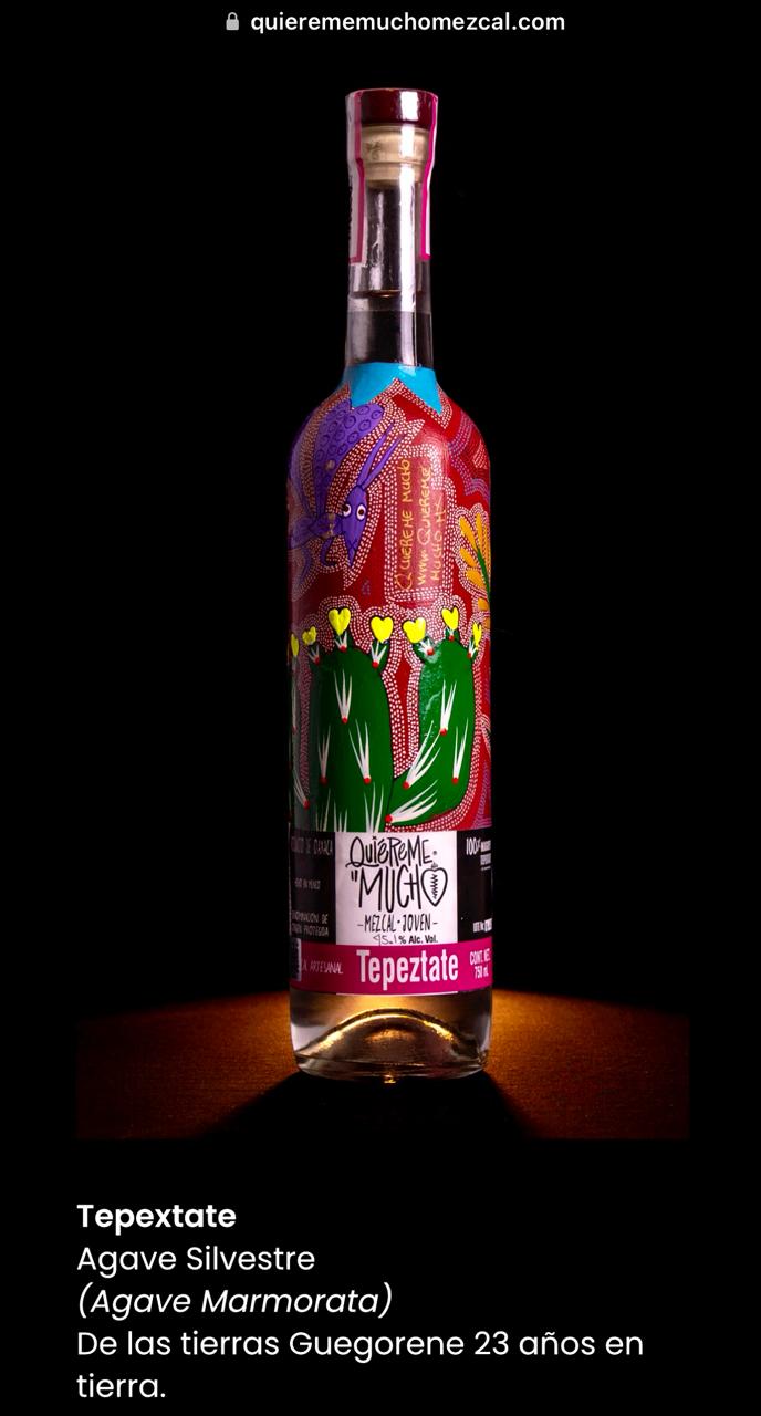 WhatsApp Image 2024-04-26 at 11.37.25 AM